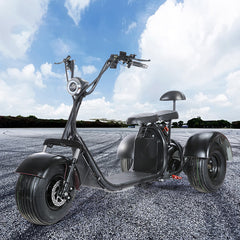 X7 3 Wheel Electric Scooter Moped Citycoco