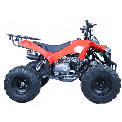 ATV-8 125cc Quad Bike ATV