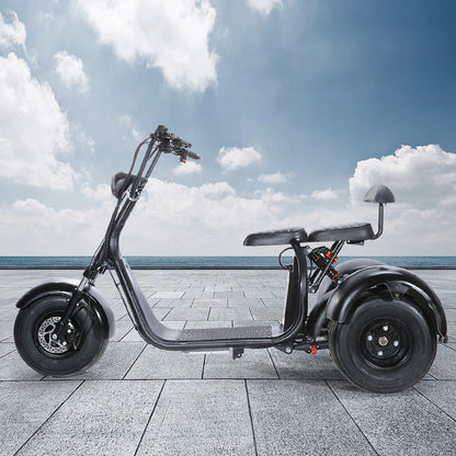 X7 3 Wheel Electric Scooter Moped Citycoco